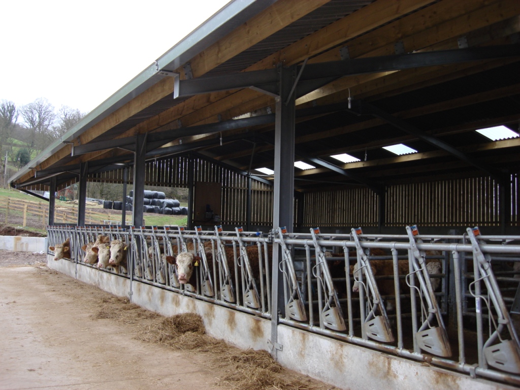 Robinsons Agricultural Beef Housing Example